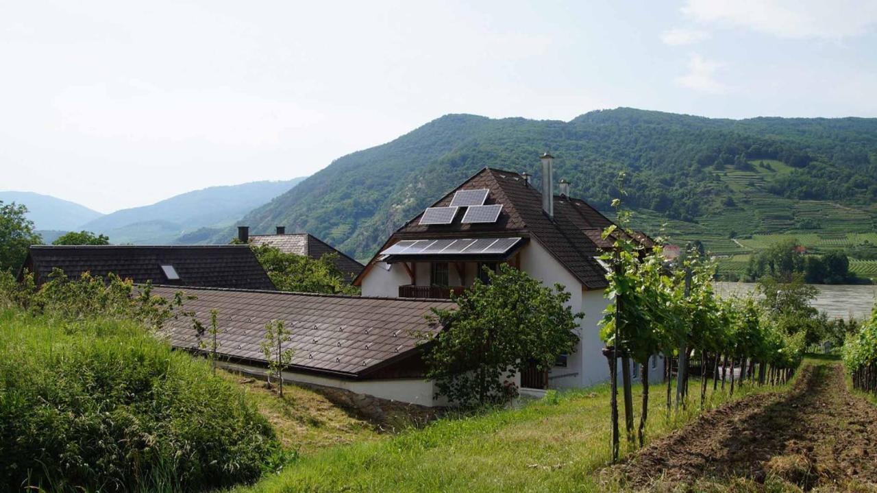 Weinbau und Gästezimmer Pammer Mitterarnsdorf Exterior foto