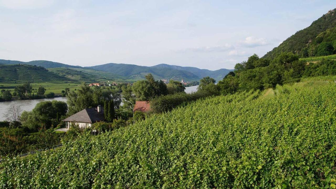 Weinbau und Gästezimmer Pammer Mitterarnsdorf Exterior foto